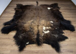Bisonfell XL