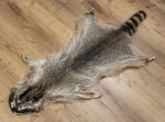 Waschbärfell XXL