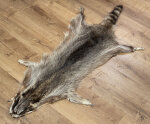 Waschbärfell XXL