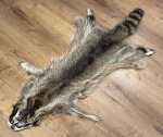 Waschbärfell XXL