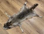Waschbärfell XXL