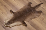 Kanadisches Otterfell 127cm