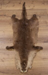 Kanadisches Otterfell 127cm