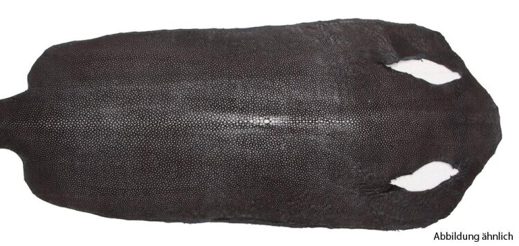 Rochenleder lang geschliffen Rochenleder 8 Inch Breite: ca. 20cm Gesamtlänge: ca. 52cm Länge bis den Löchern: ca. 39cm