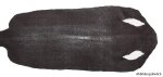 Rochenleder lang geschliffen Rochenleder 8 Inch Breite:...