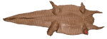 Caimanleder Bauchschnitt 42cm