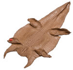 Caimanleder Bauchschnitt 42cm