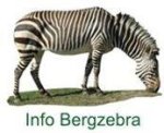 Bergzebrafell Info